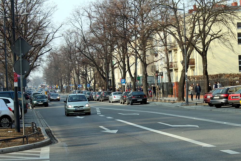 Saska Kępa image