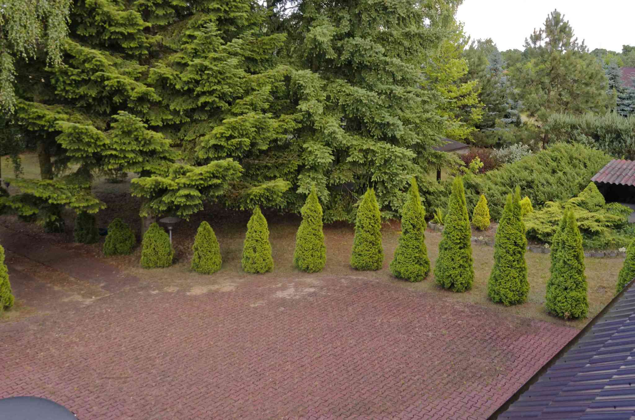 House for Sale, Łódzkie Poddębicki Poddębice 86848419